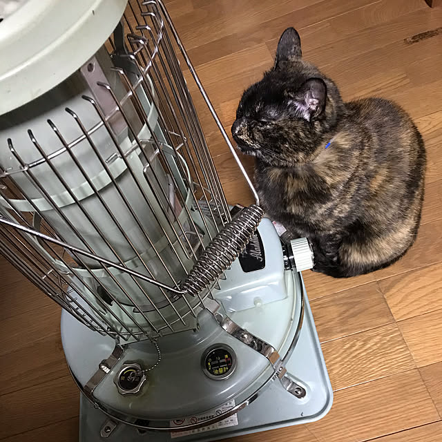 gggさんの実例写真