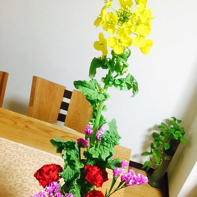 Kaoruさんの実例写真