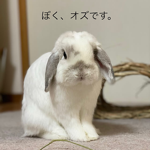 yuraminさんの実例写真
