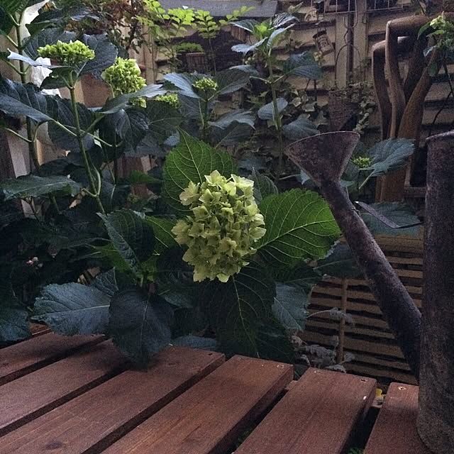 voyage.makiさんの実例写真
