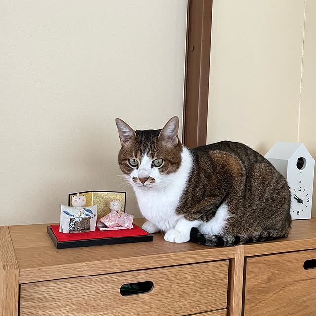 aobahahaさんの実例写真