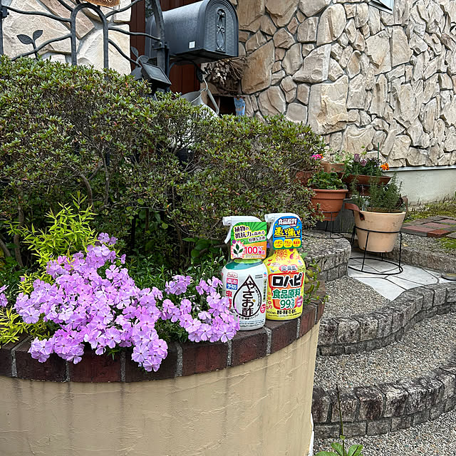 haruさんの実例写真