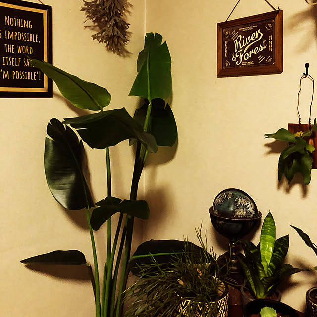 rintarotantan7さんの部屋