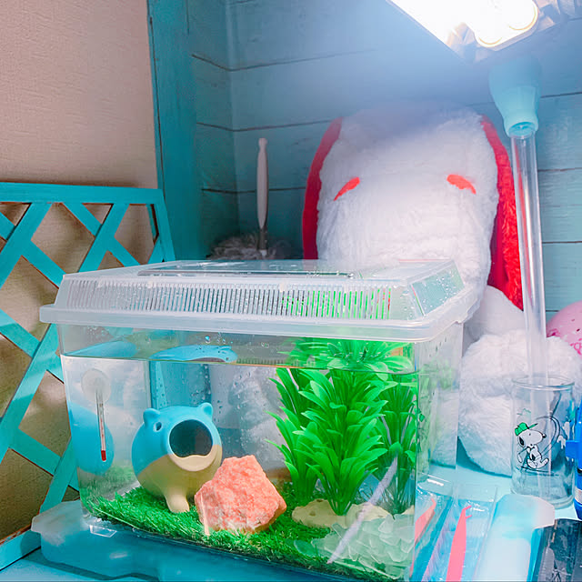 totoさんの実例写真