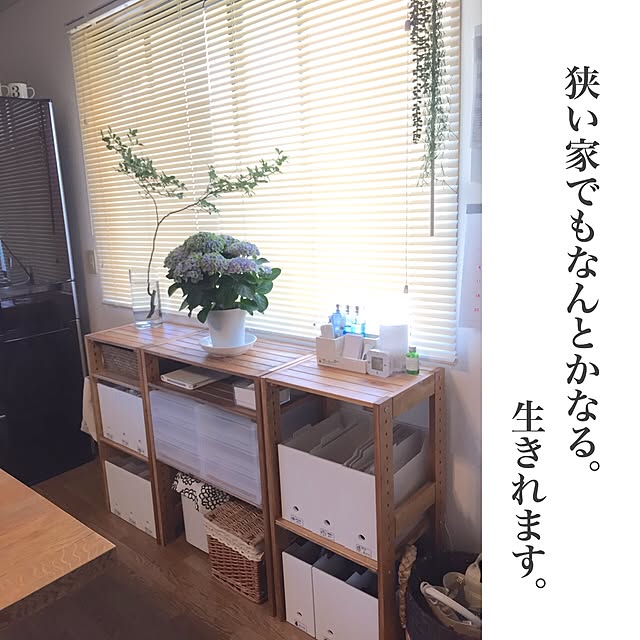 micro4mamaさんの実例写真