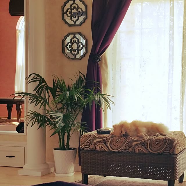 poporuruさんの実例写真