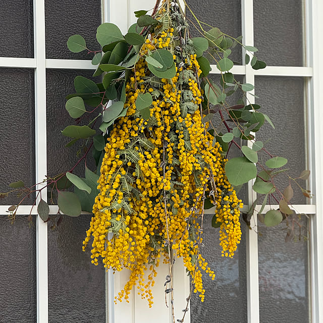 zuccoさんの部屋