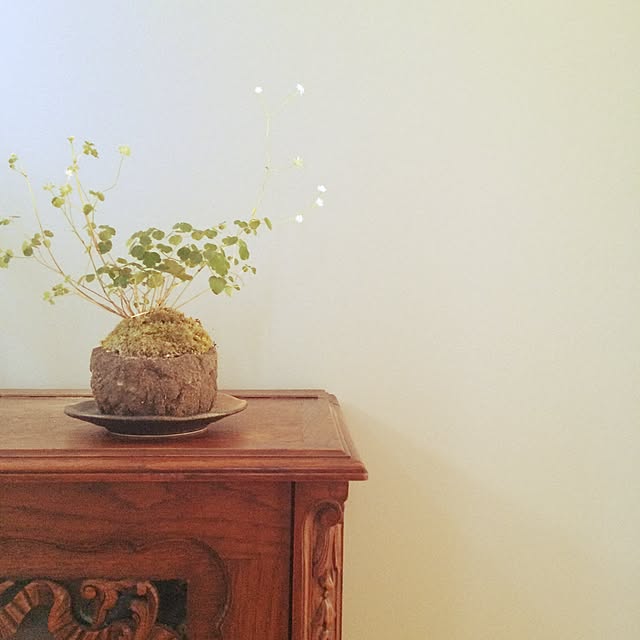 plumeriaさんの実例写真