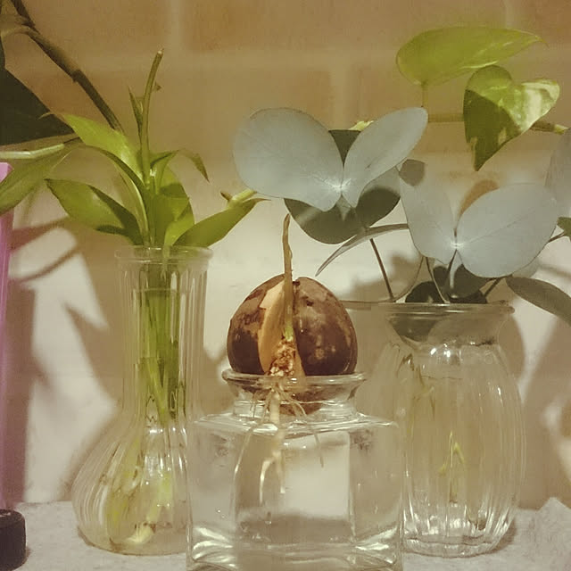 Mitsuさんの実例写真