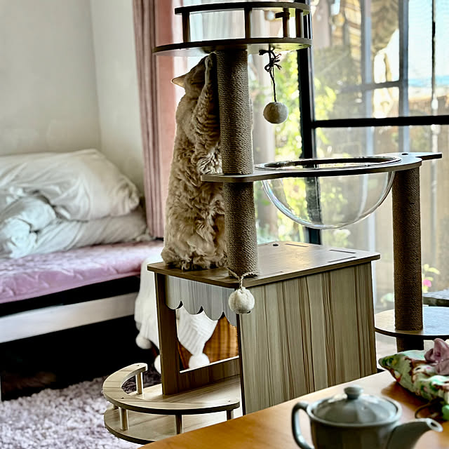 naokoさんの部屋