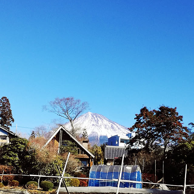 実例写真