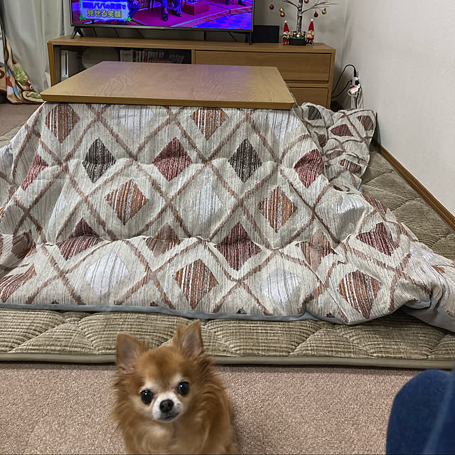 koroさんの実例写真