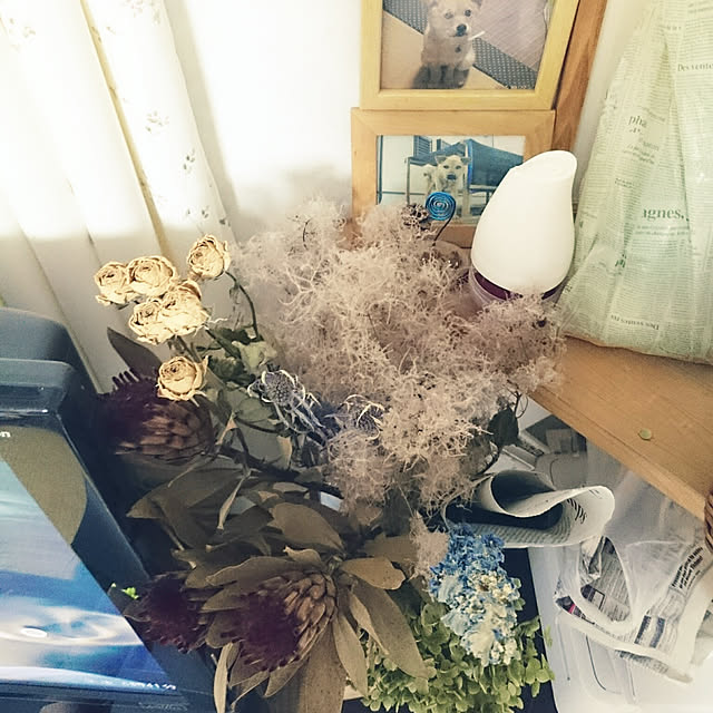 kao.kaoさんの実例写真