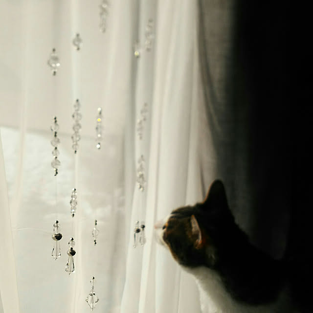 rinさんの実例写真