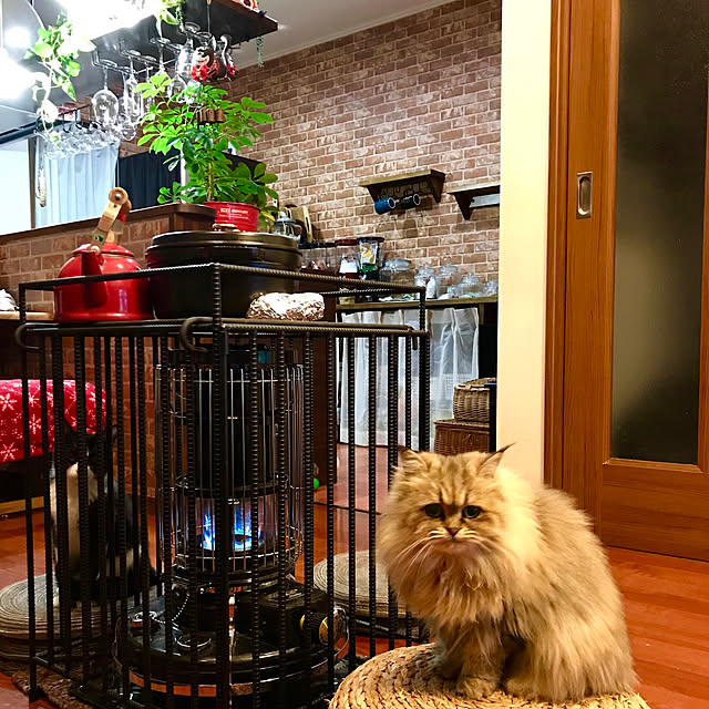 butachanさんの実例写真
