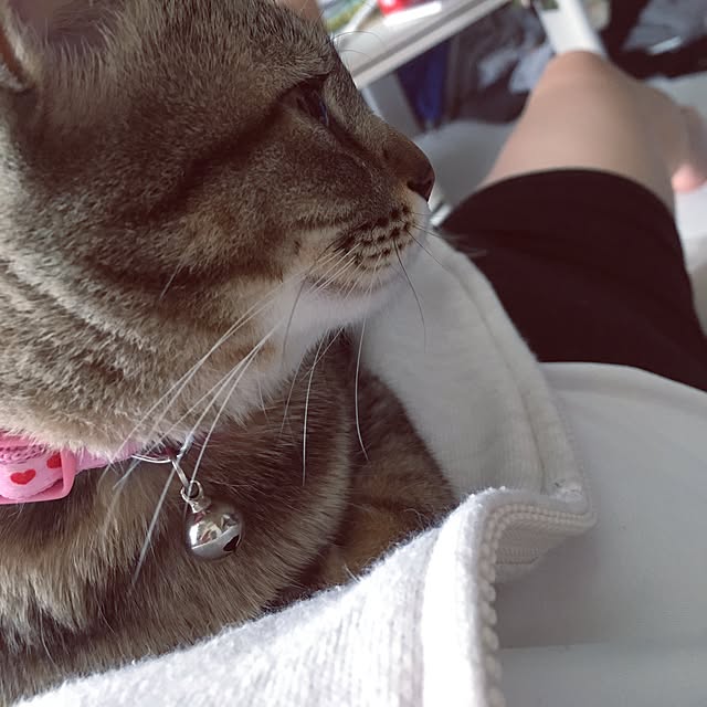 sayasさんの実例写真