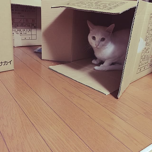 love0621さんの実例写真