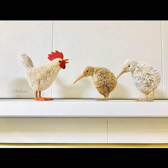 tinkunさんの実例写真