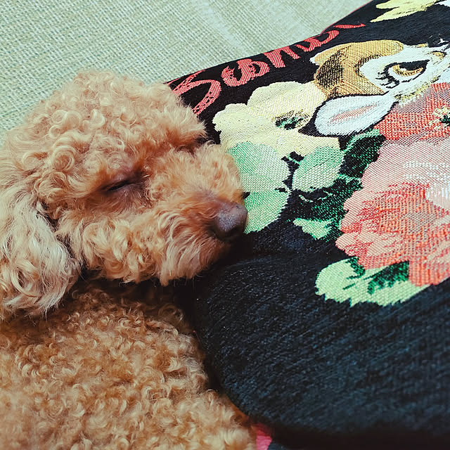 twinsさんの実例写真