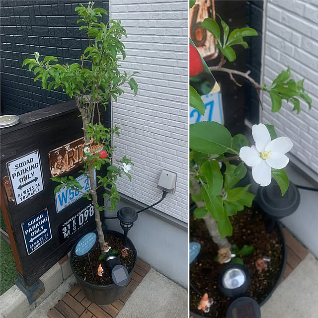 akipuさんの部屋