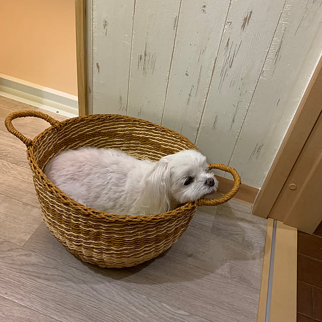 ponyoさんの部屋