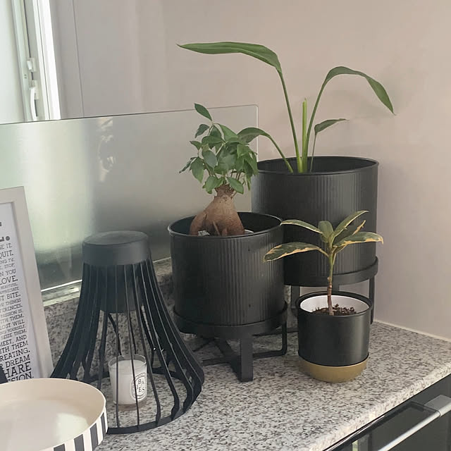m.Reikoさんの部屋