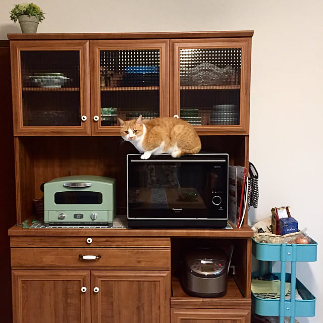 kurumijincoさんの実例写真