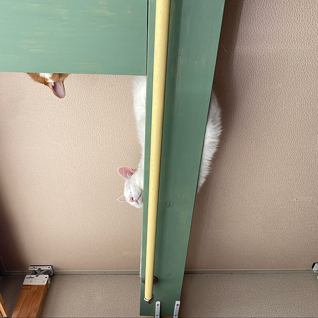 SHIHOさんの実例写真
