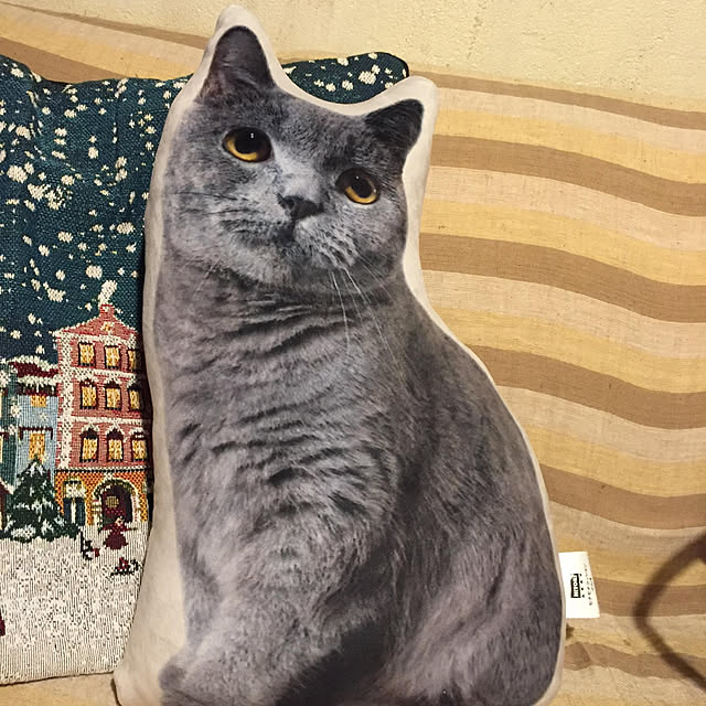 phoochanさんの実例写真