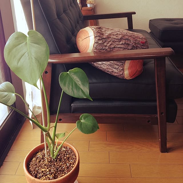 newさんの実例写真