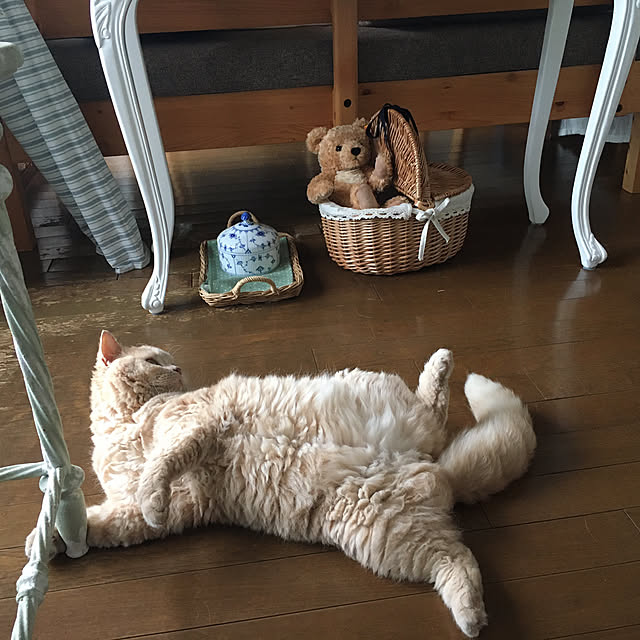 naokoさんの部屋