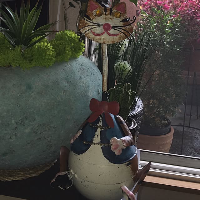 shinさんの実例写真