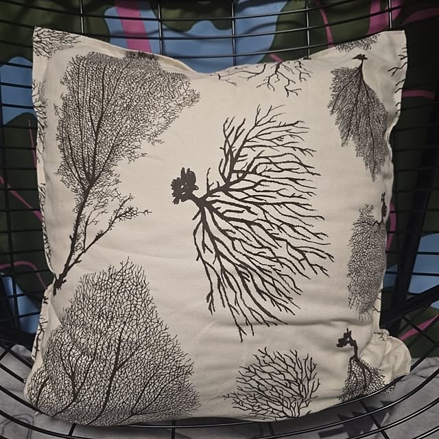 nao814さんの部屋