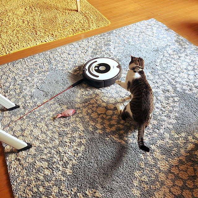 jijiさんの実例写真