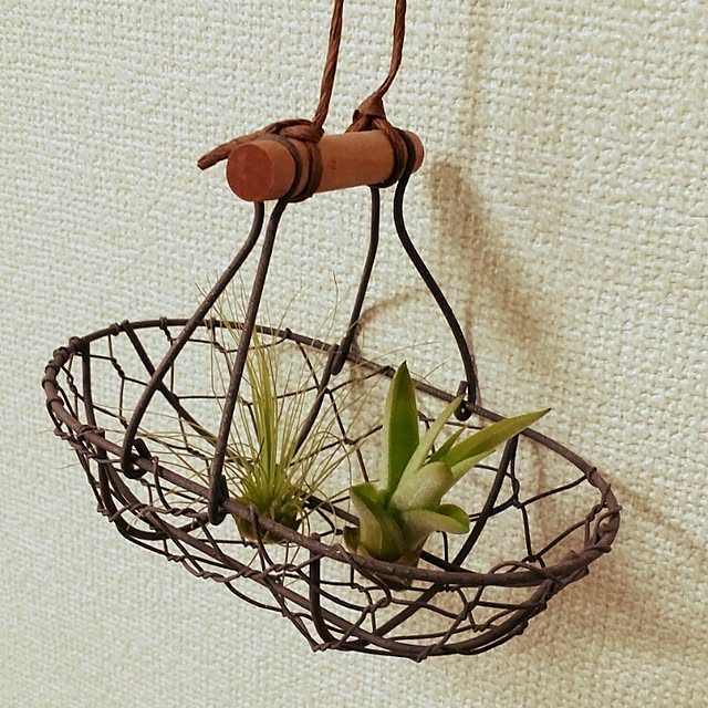hotcakeさんの実例写真