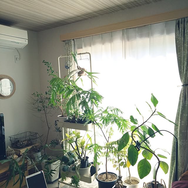 chocococoaさんの実例写真