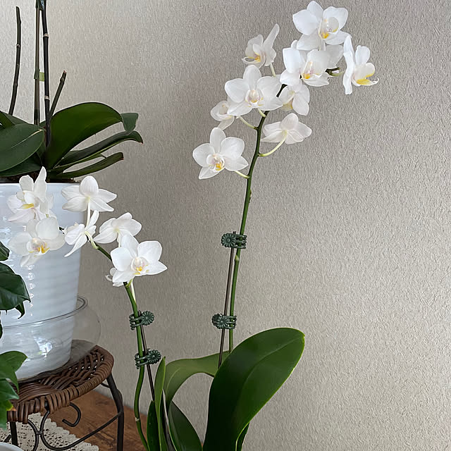 yamaeさんの部屋