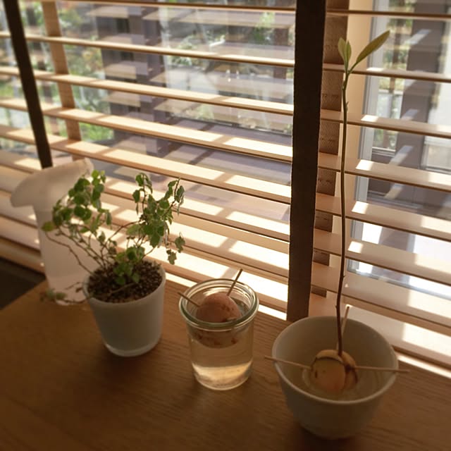 haruiro.さんの実例写真