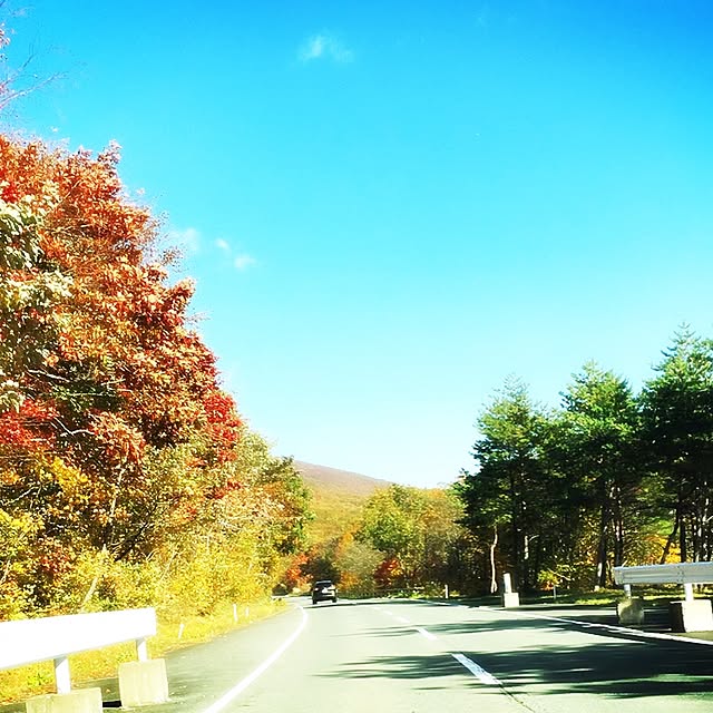 壁/天井/紅葉のインテリア実例 - 2016-10-25 11:57:11