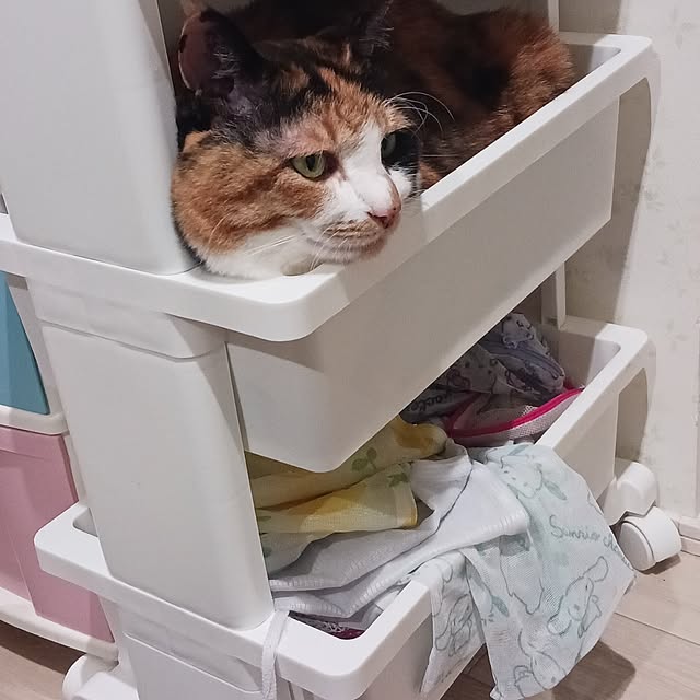 aiさんの部屋