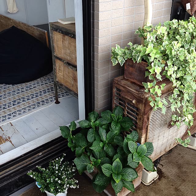 部屋全体のインテリア実例 - 2016-06-19 09:39:10