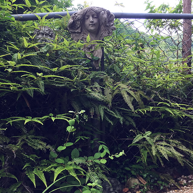 .さんの実例写真
