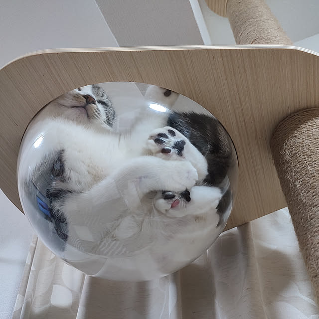 Karinさんの実例写真