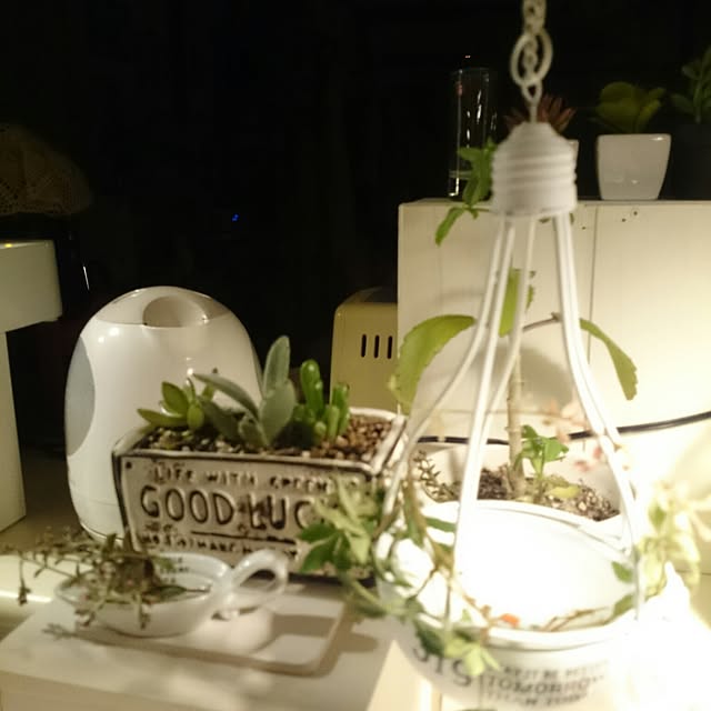 JUNMARIKAさんの実例写真