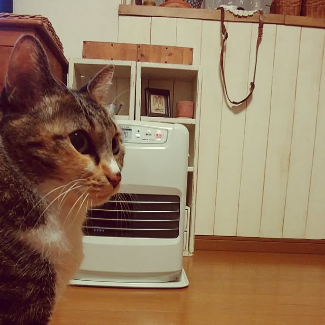 tomo1220さんの実例写真