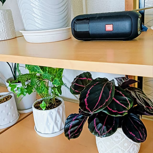 hanachanさんの実例写真