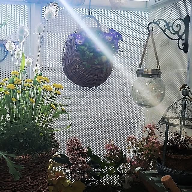 mana_iroさんの実例写真