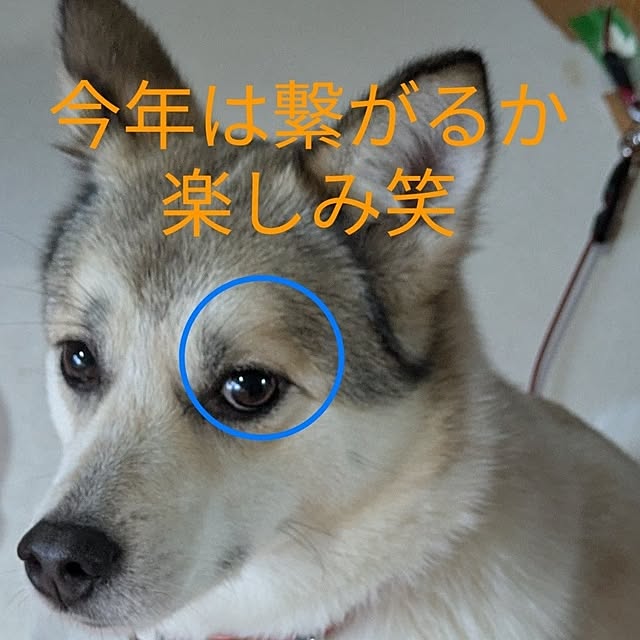 asaさんの部屋