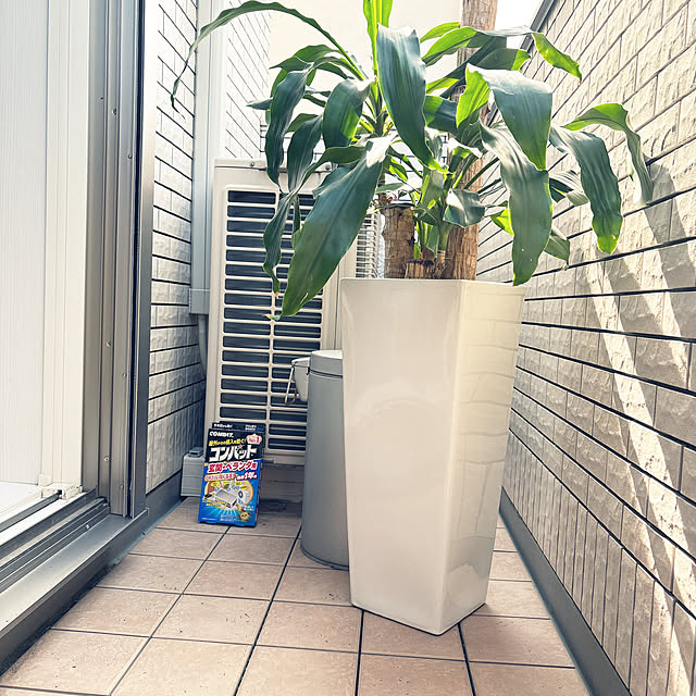 happy_kakakaさんの実例写真