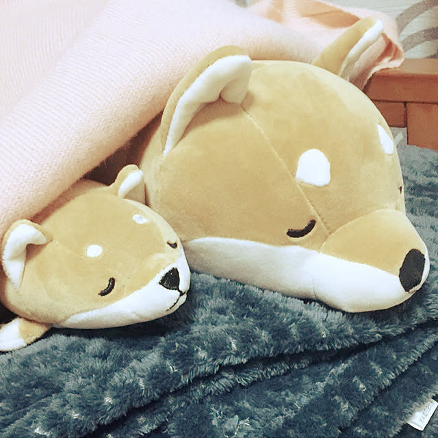 C.さんの実例写真